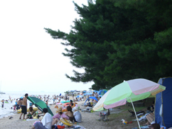 青柳浜水泳場