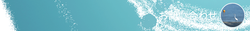 ₢킹